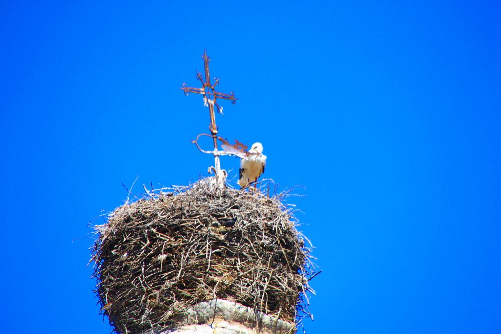 Foto de Villar de Corneja (Ávila), España