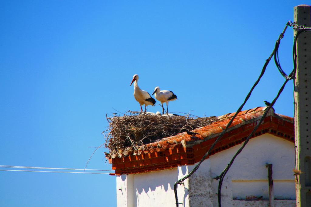 Foto de Villar de Corneja (Ávila), España