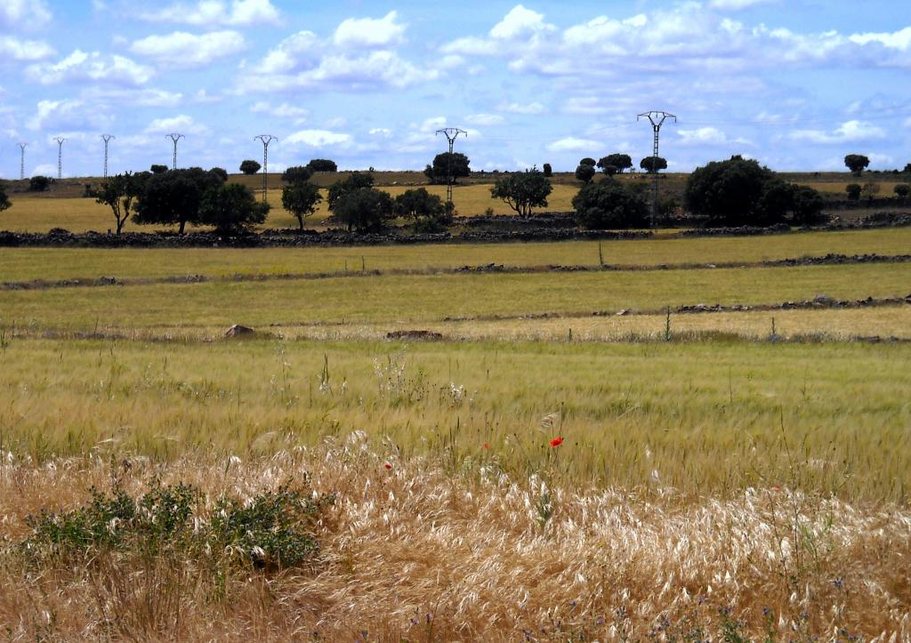 Foto de El Cubillo (Albacete), España
