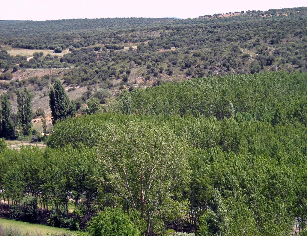 Foto de El Cubillo (Albacete), España