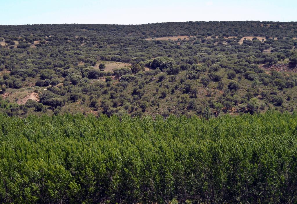 Foto de El Cubillo (Albacete), España