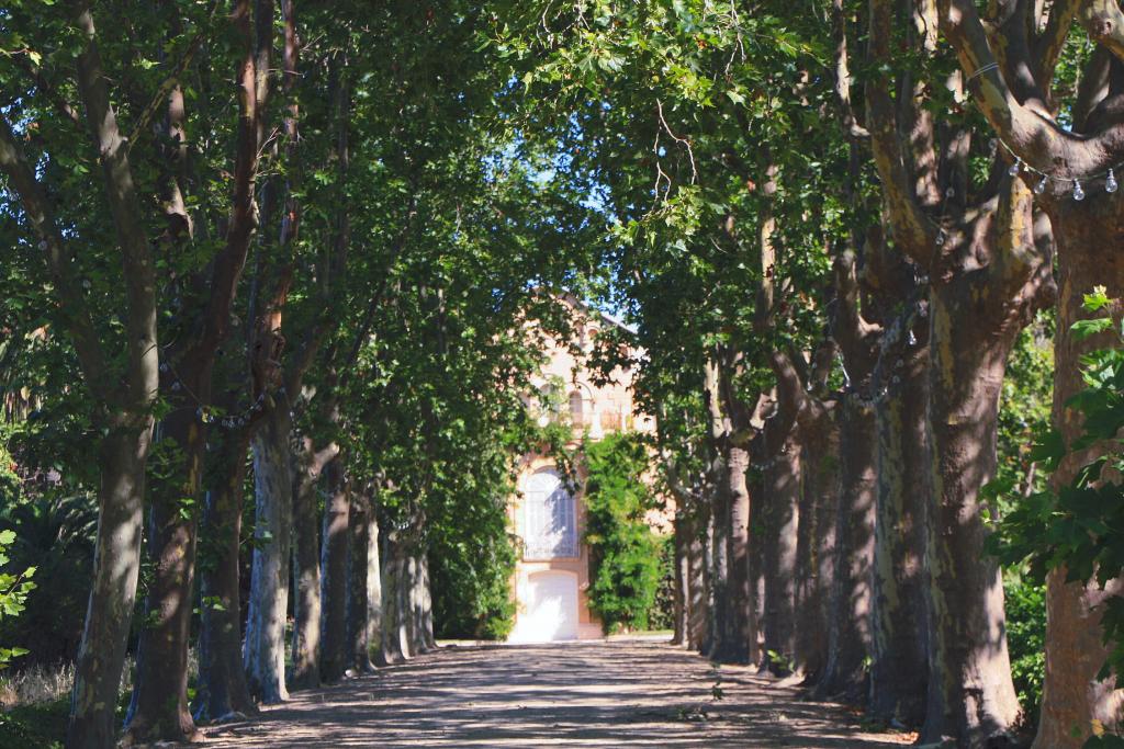 Foto de Cambrils (Tarragona), España