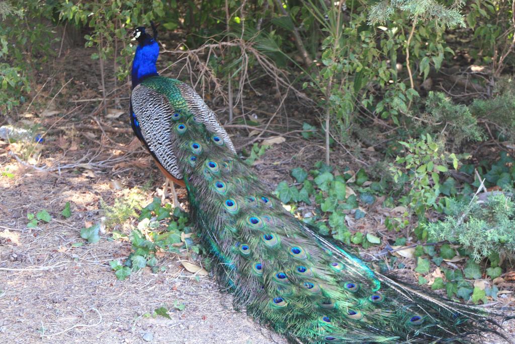 Foto de Cambrils (Tarragona), España