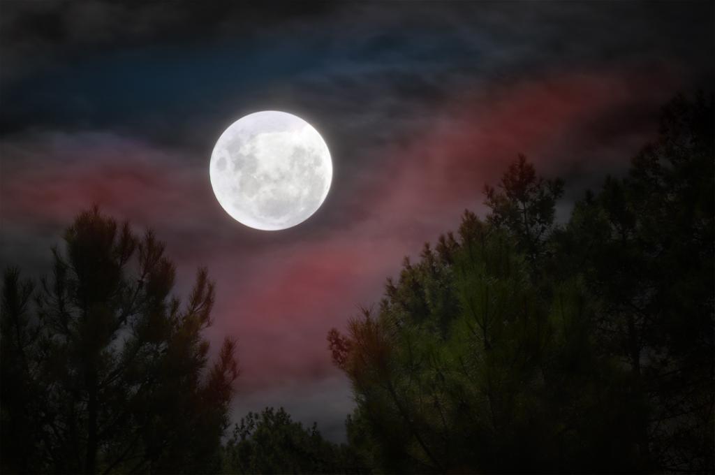 Foto de Mar de las Pampas, Argentina