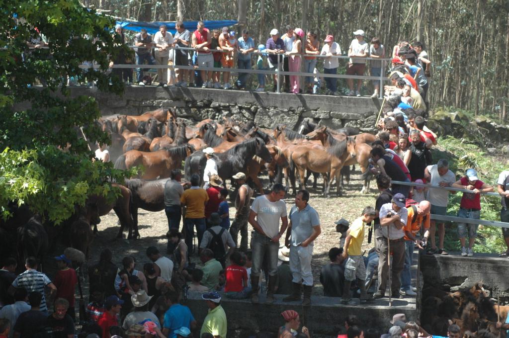 Foto de Morgadans (Pontevedra), España