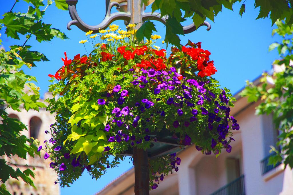 Foto de Prats de Molló (La Presta), Francia