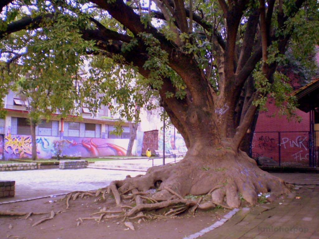 Foto de Linares, Chile