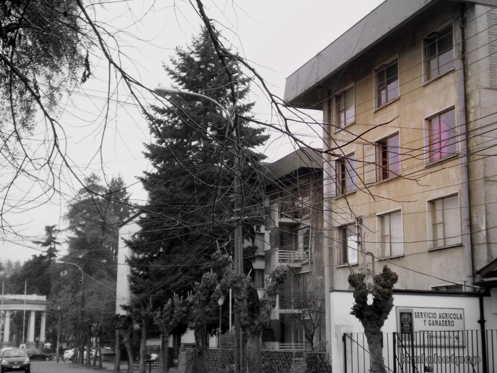 Foto de Linares, Chile