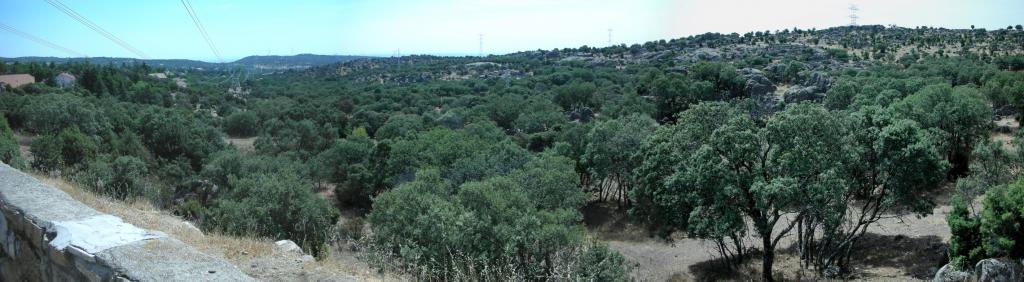 Foto de Hoyo de Manzanares (Madrid), España