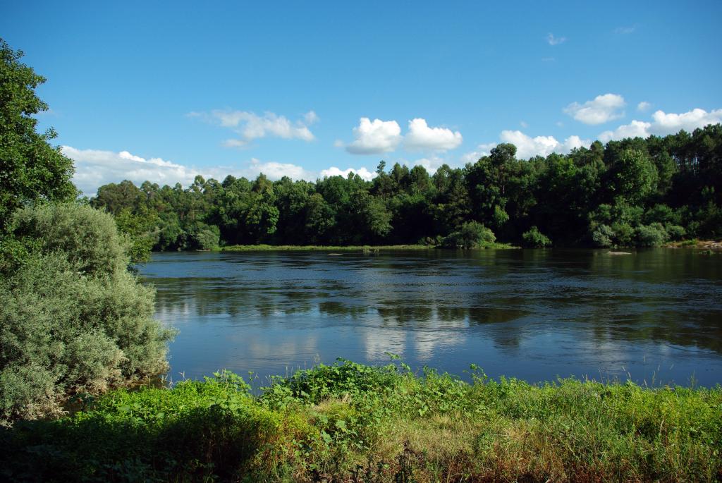 Foto de As Neves (Pontevedra), España