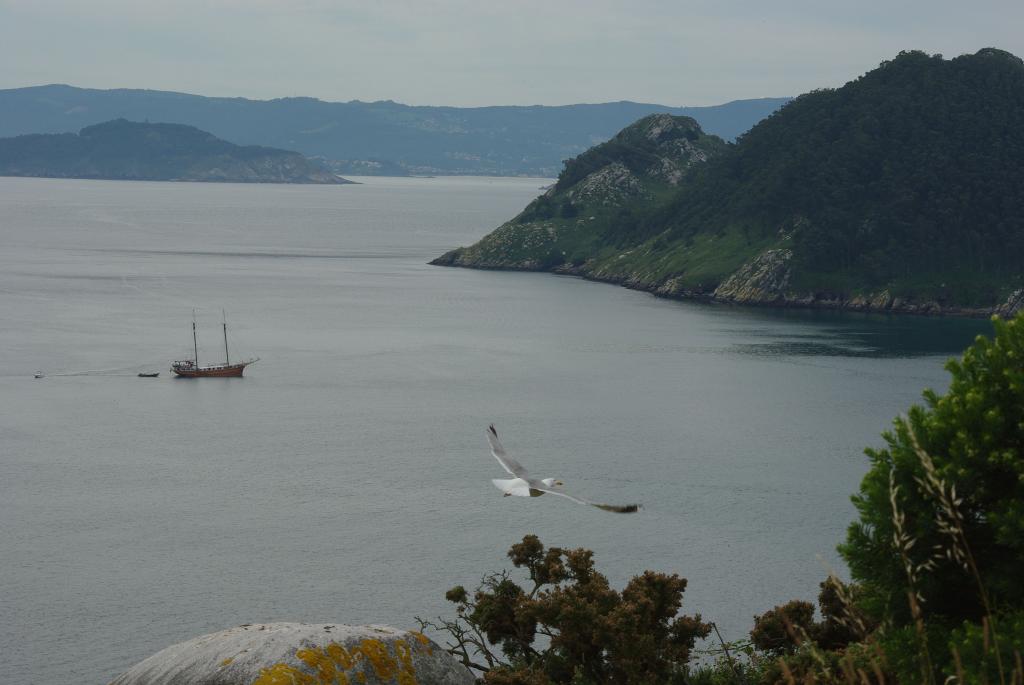 Foto de Vigo (Pontevedra), España
