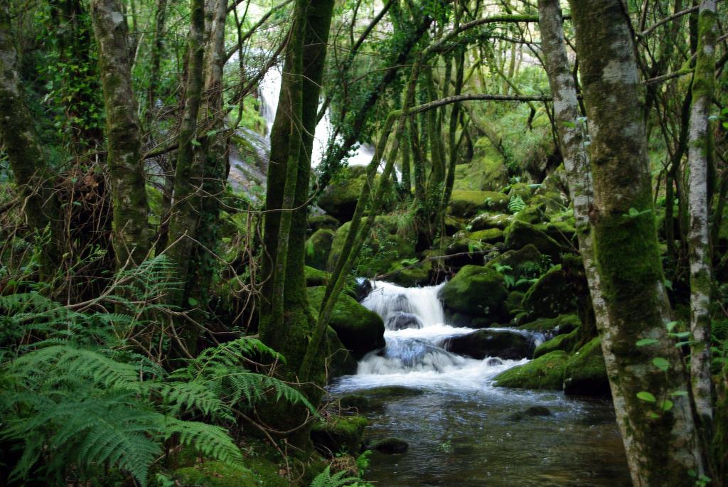 Foto de Cuntis (Pontevedra), España