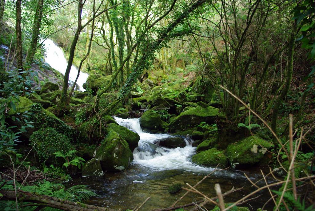 Foto de Cuntis (Pontevedra), España