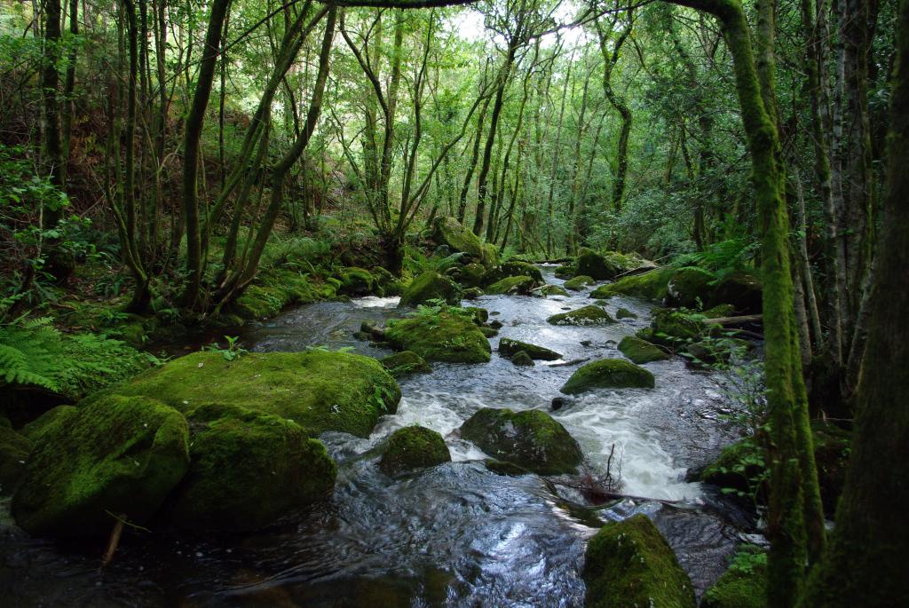 Foto de Cuntis (Pontevedra), España