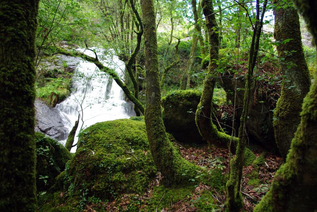 Foto de Cuntis (Pontevedra), España
