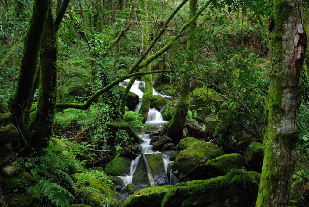 Foto de Cuntis (Pontevedra), España