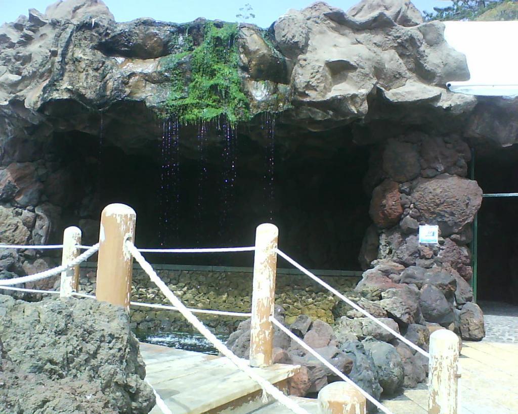 Foto de Puerto Cruz (Santa Cruz de Tenerife), España