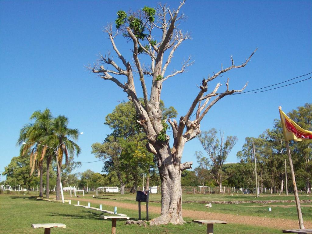 Foto de Belén (Salto), Uruguay
