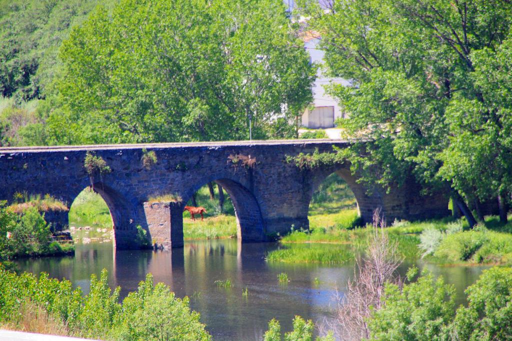 Foto de El Barco de Ávila (Ávila), España