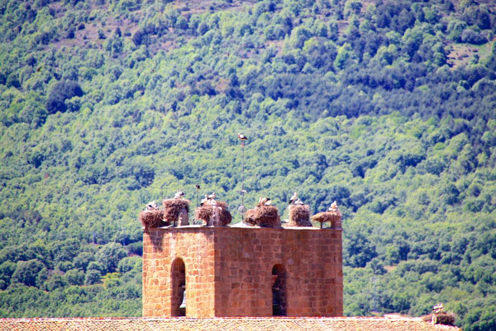 Foto de El Barco de Ávila (Ávila), España