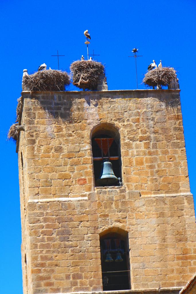 Foto de El Barco de Ávila (Ávila), España