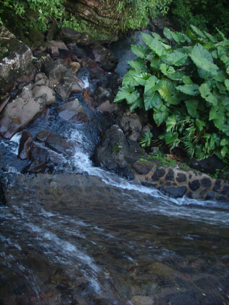 Foto de Luquillo, Puerto Rico