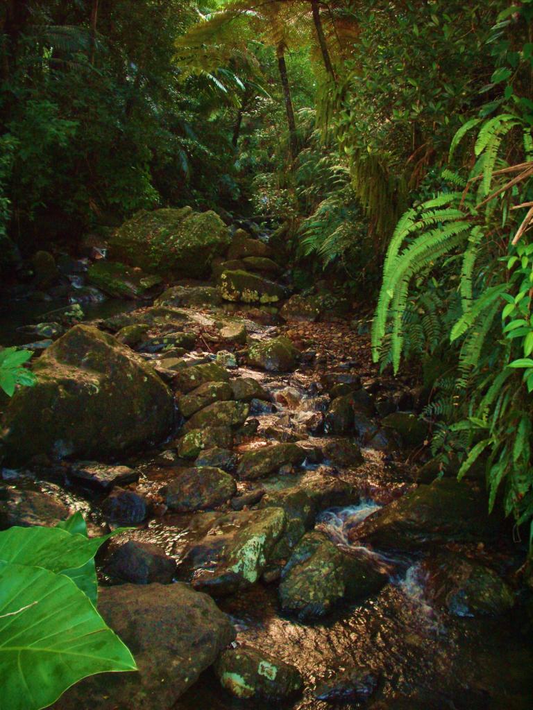 Foto de Luiquillo, Puerto Rico