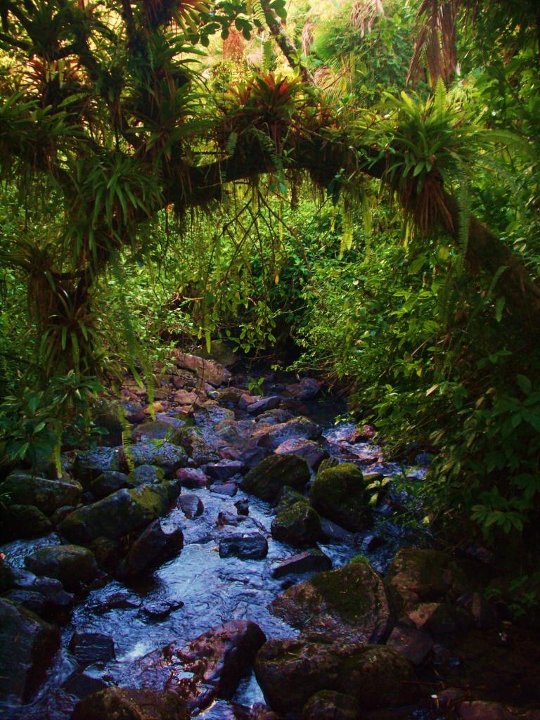 Foto de Luquillo, Puerto Rico