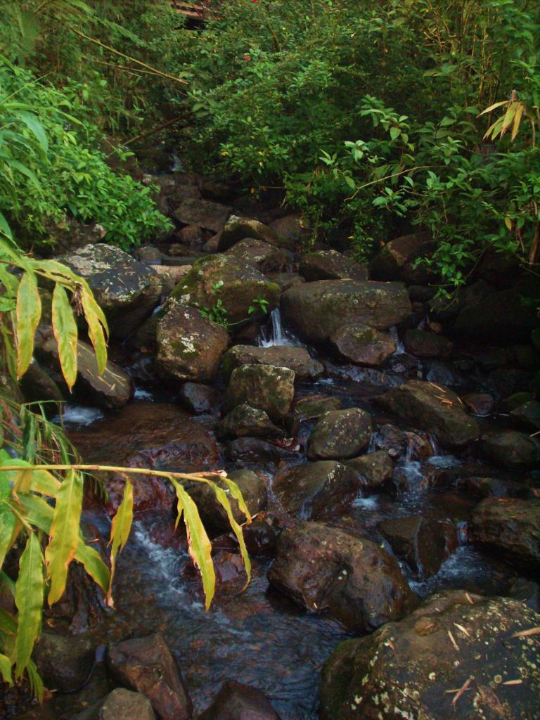 Foto de Luquillo, Puerto Rico