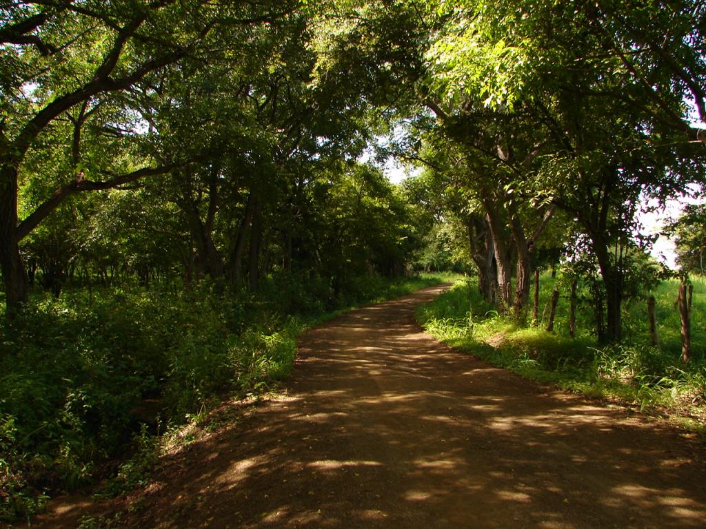 Foto de Isla Chira (Puntarenas), Costa Rica
