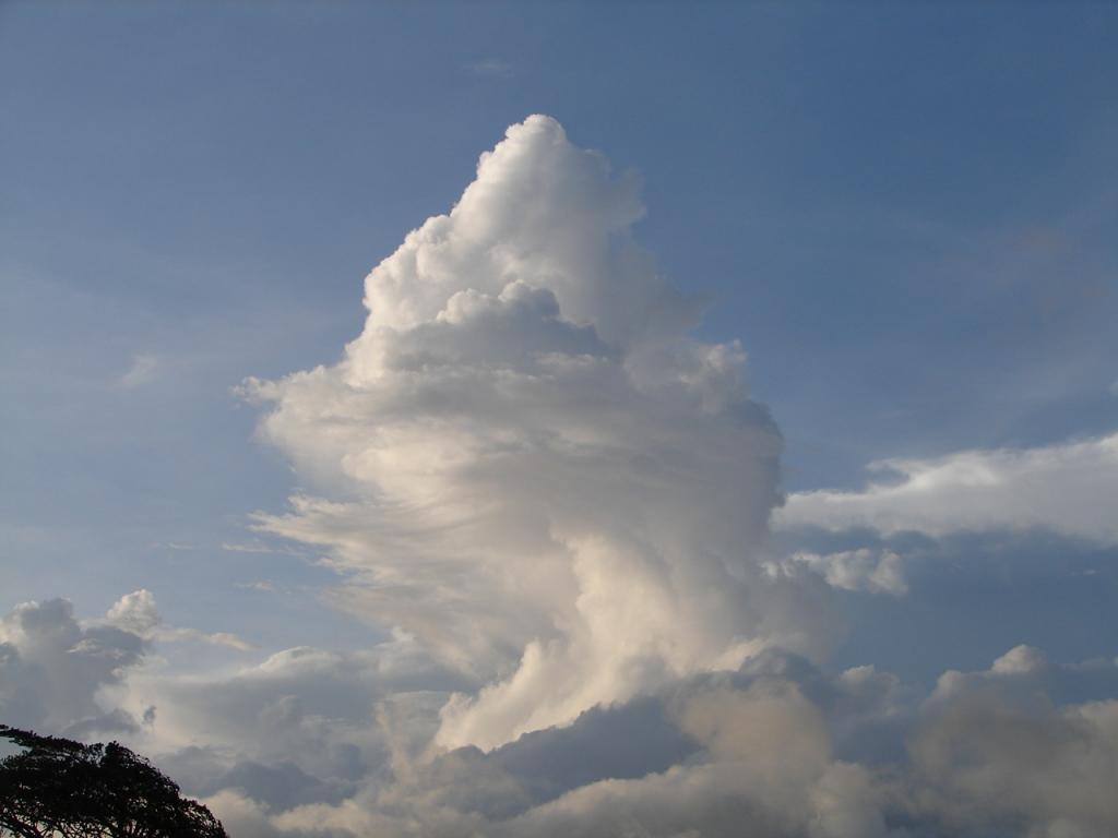 Foto de Tilaran (Guanacaste), Costa Rica