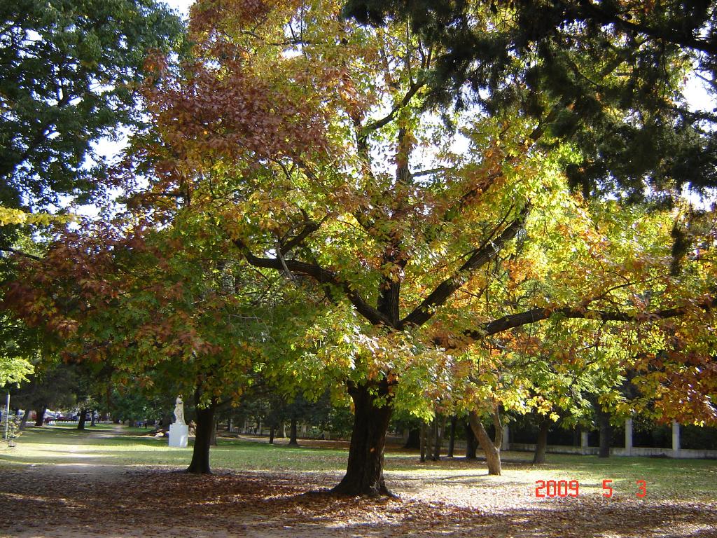 Foto de Buenos Aires, Argentina