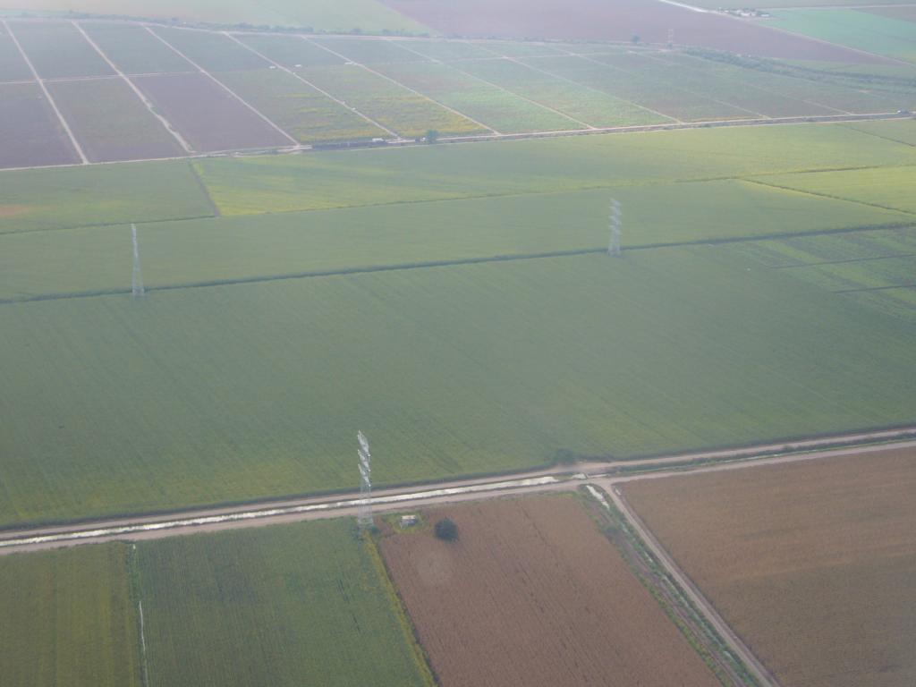 Foto: Campos de Cultivo - Sinaloa, México
