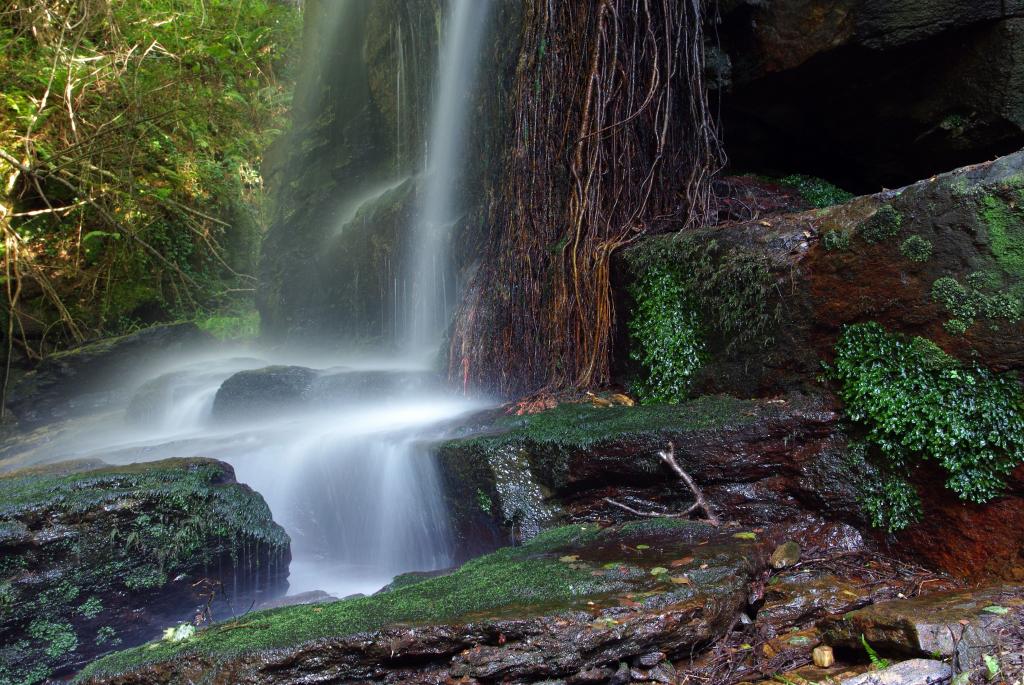 Foto de Vigo (Pontevedra), España