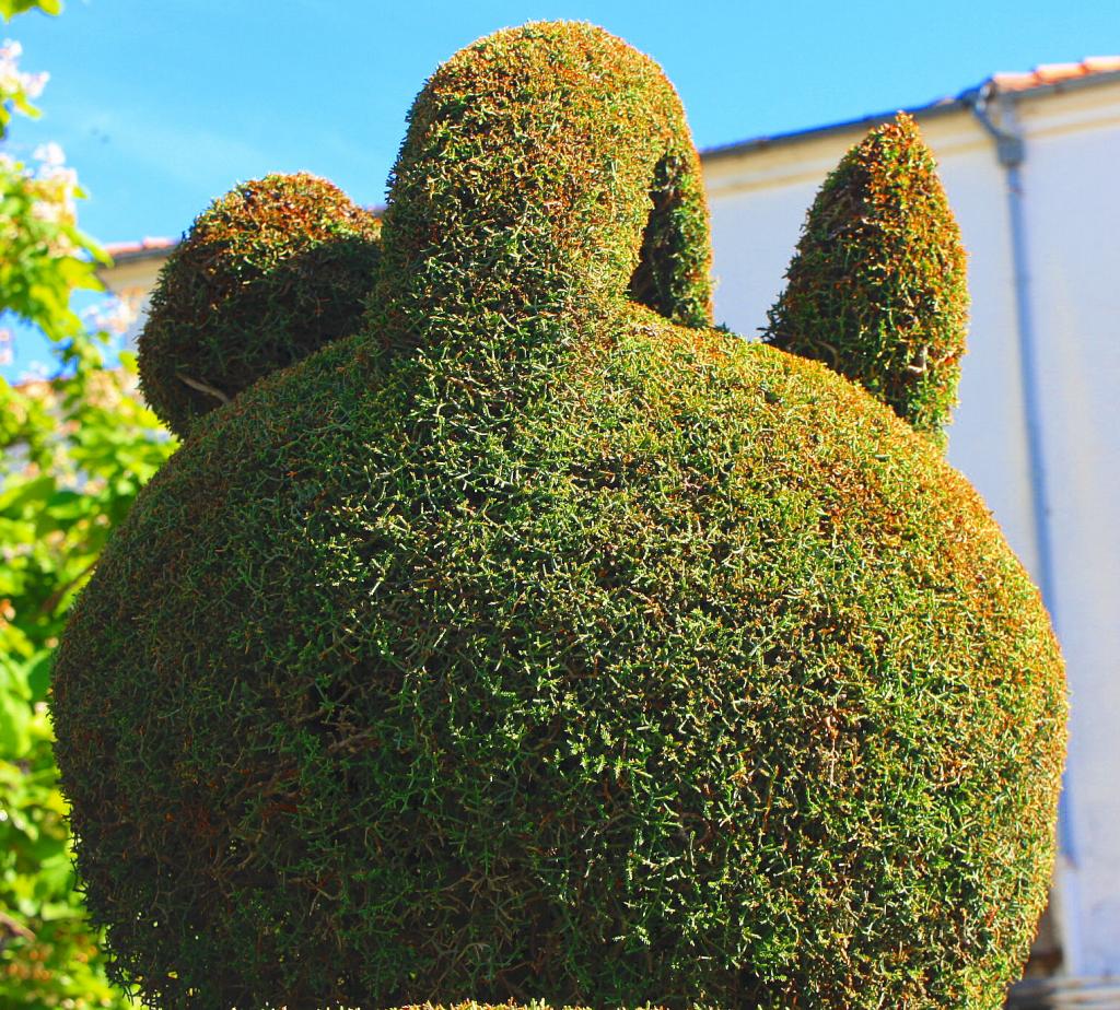 Foto de Losar de la Vera (Cáceres), España