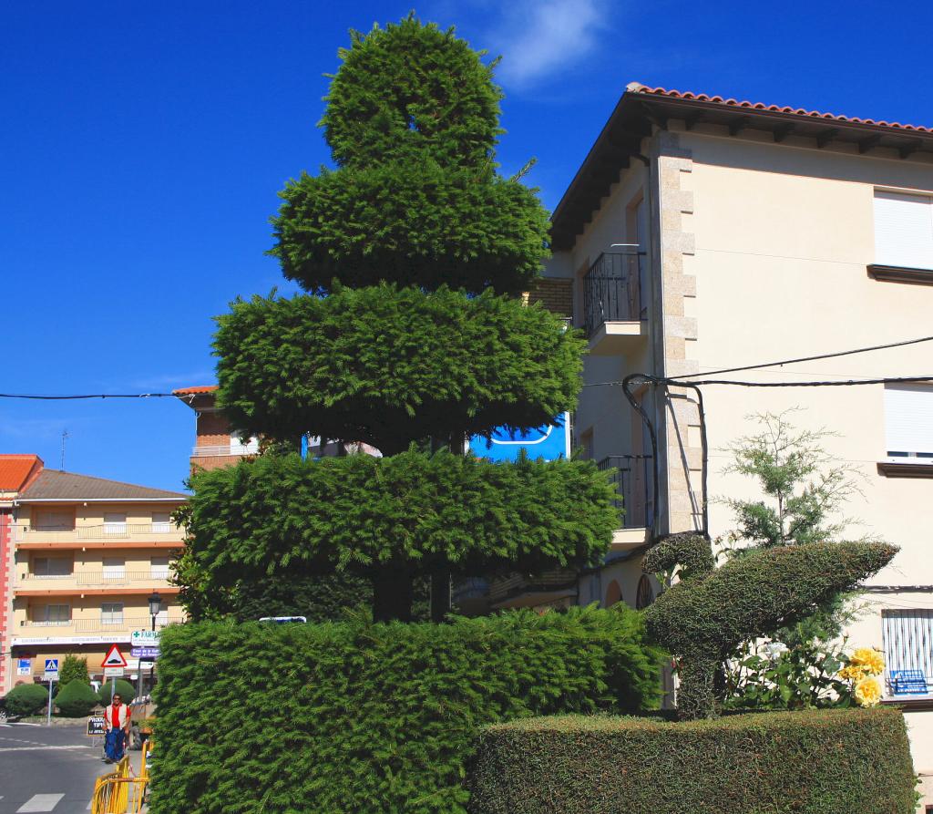 Foto de Losar de la Vera (Cáceres), España