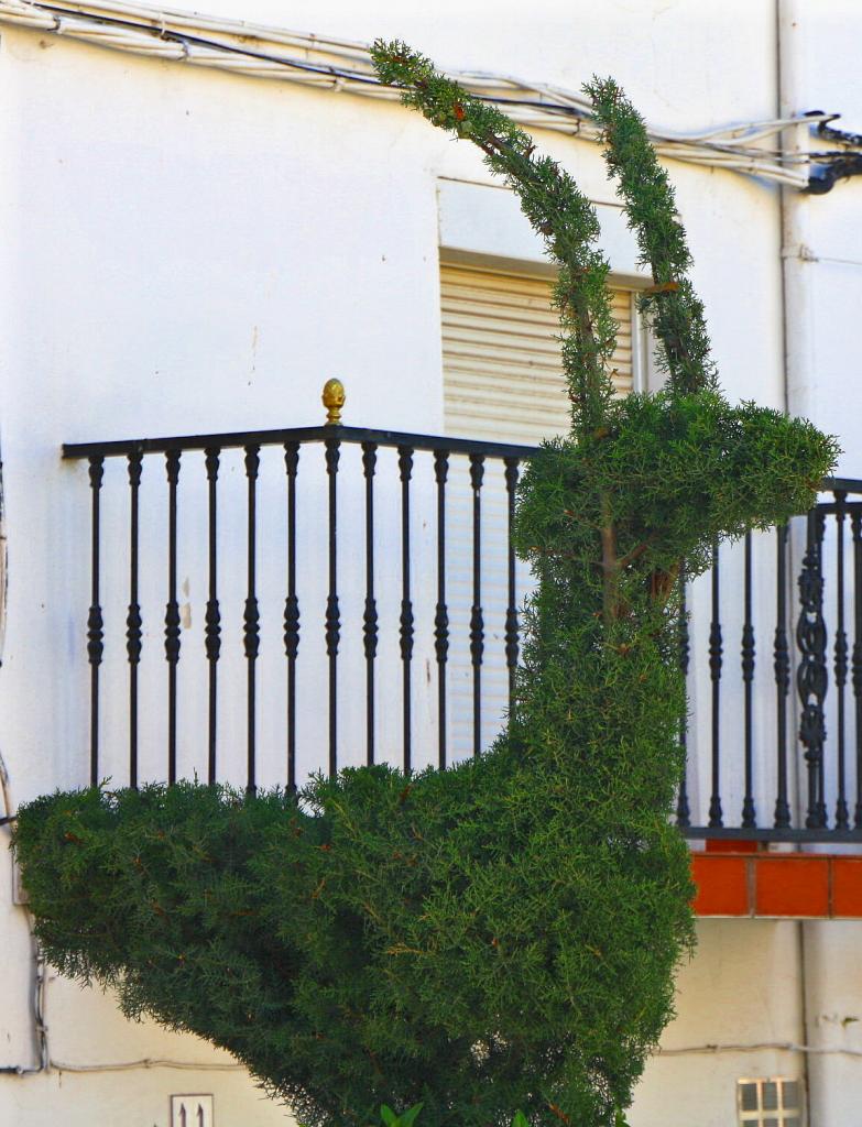 Foto de Losar de la Vera (Cáceres), España