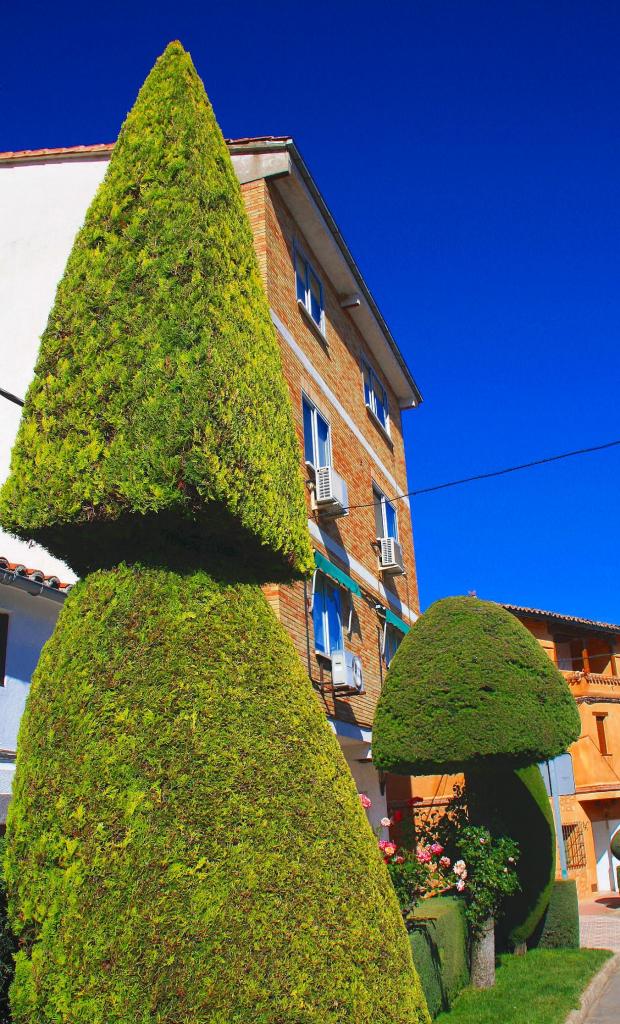 Foto de Losar de la Vera (Cáceres), España