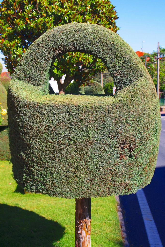 Foto de Losar de la Vera (Cáceres), España