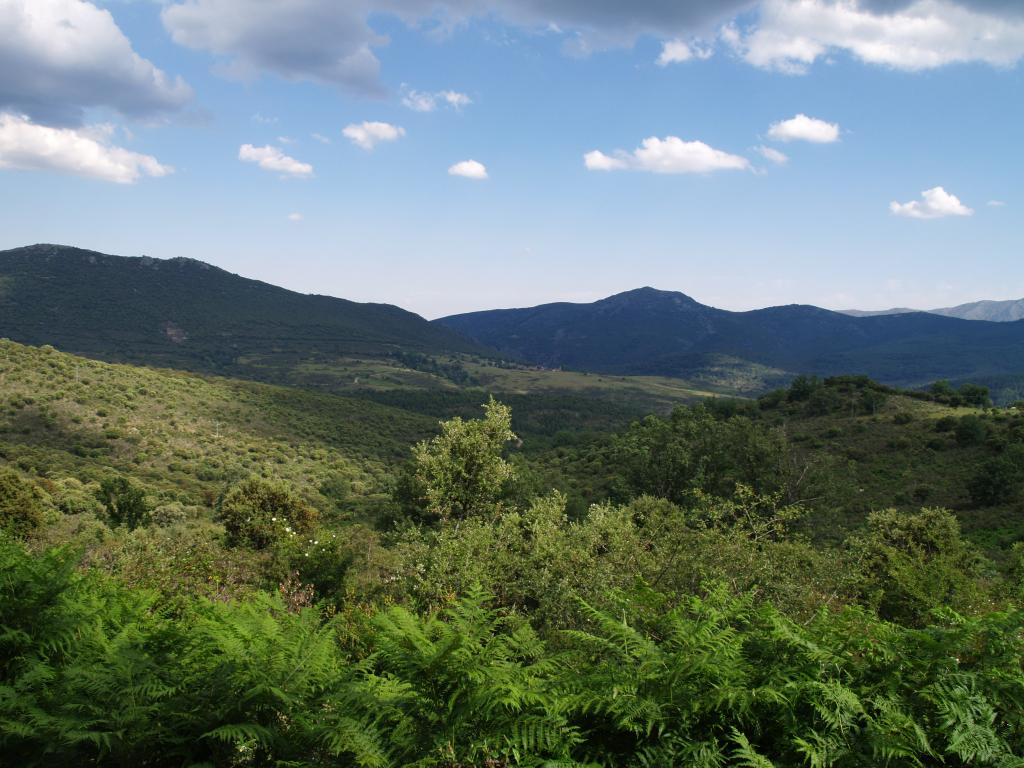 Foto de El Cardoso de la Sierra (Guadalajara), España