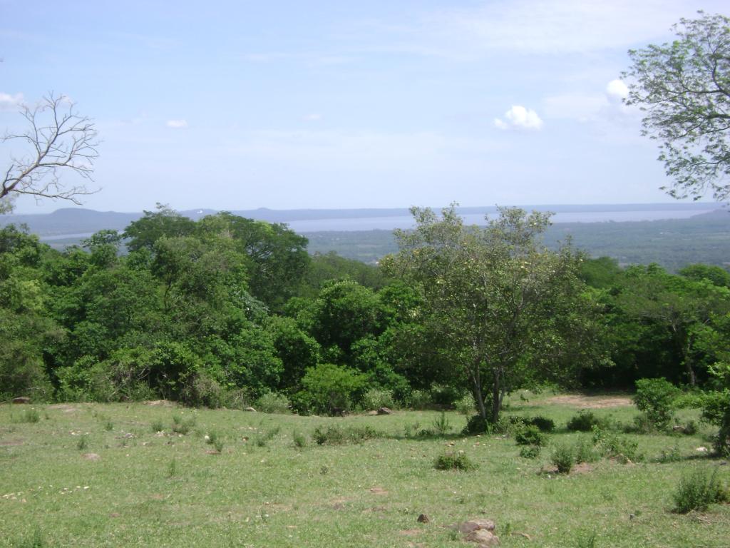 Foto de Cerro Caacupe (Departamento de Cordillera), Paraguay