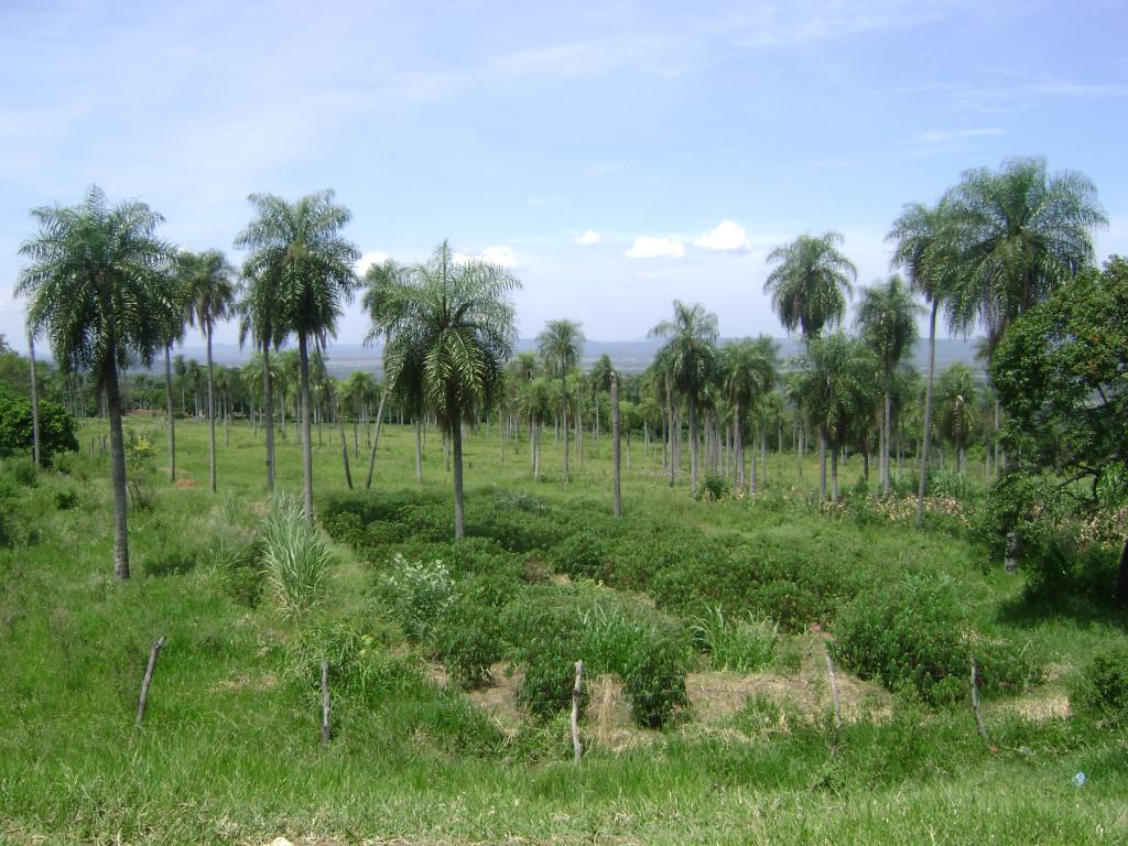 Foto de Cerro Caacupe (Departamento de Cordillera), Paraguay