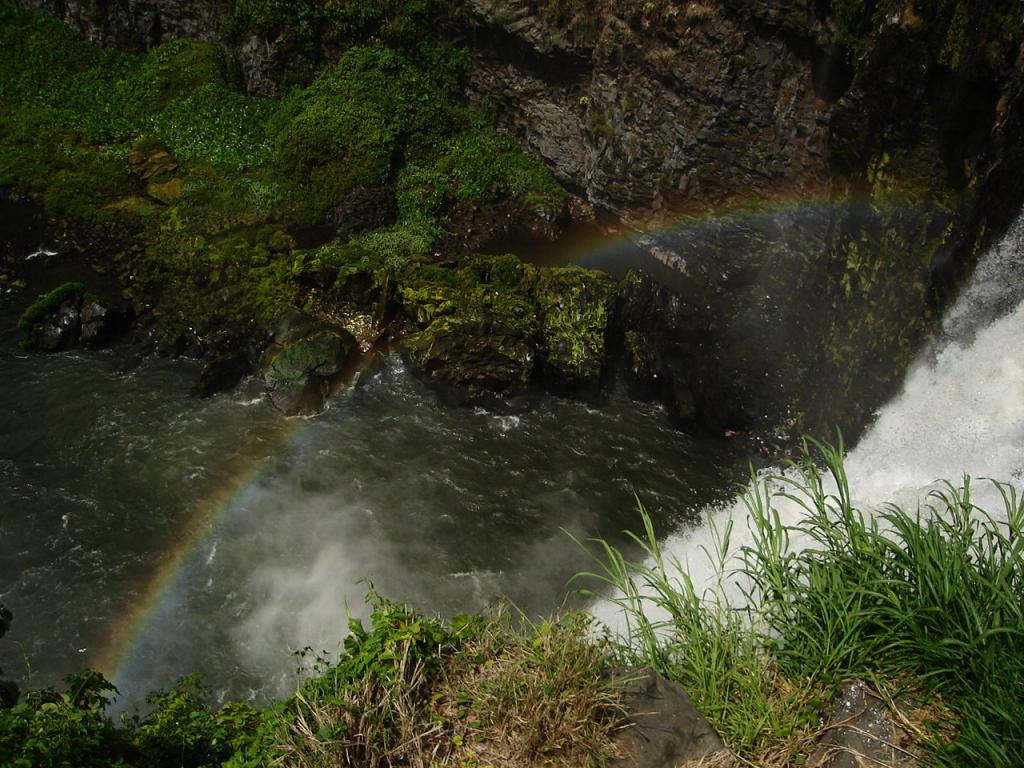 Foto de Salto de Eyipantla (Veracruz), México