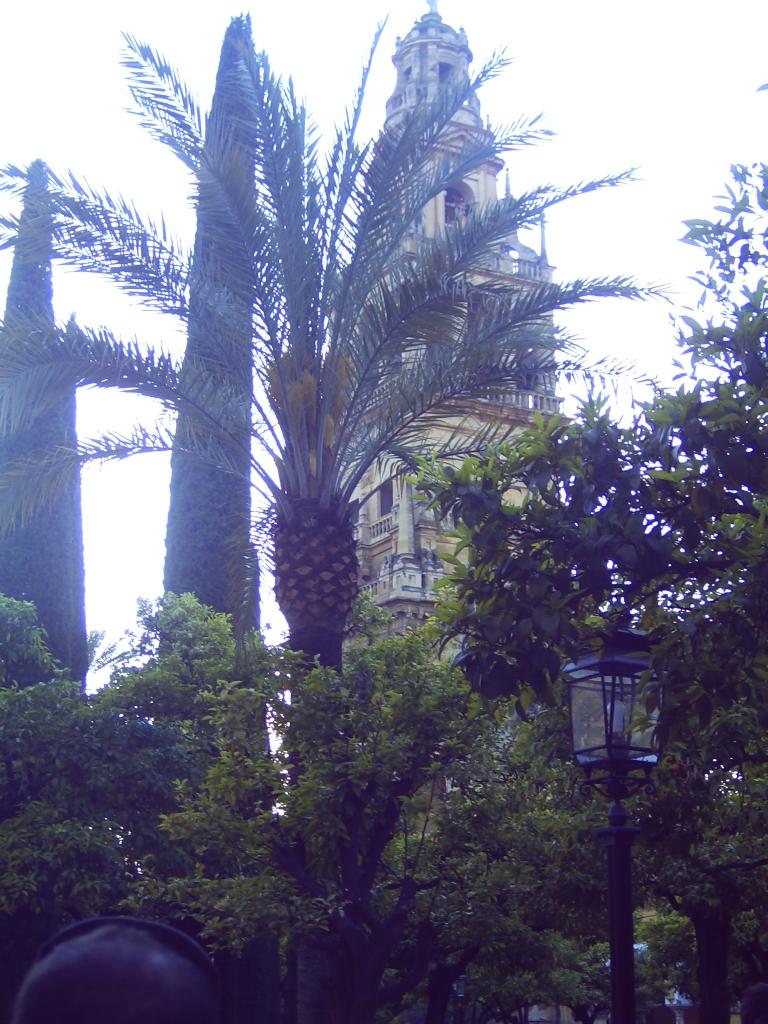 Foto de Córdoba (Andalucía), España