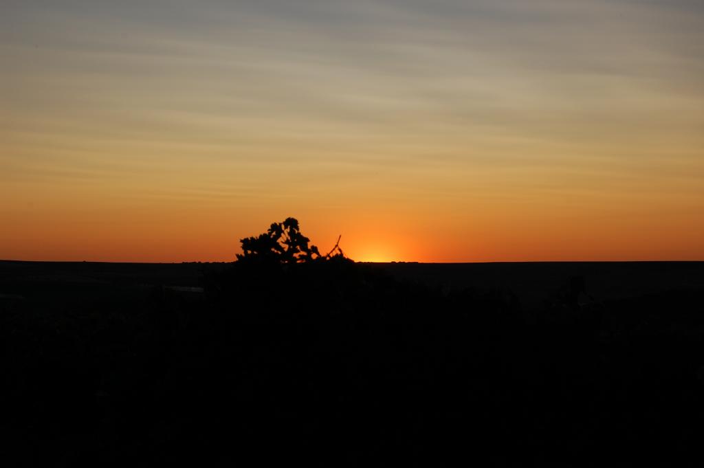 Foto de Rueda (Valladolid), España