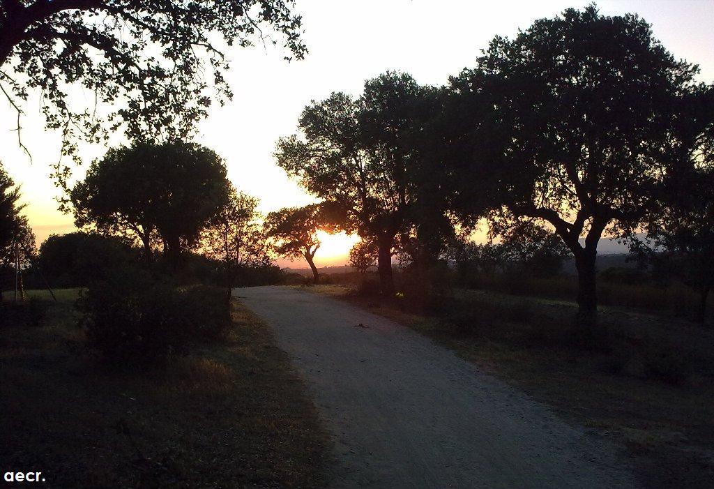 Foto de Boadilla del Monte (Madrid), España
