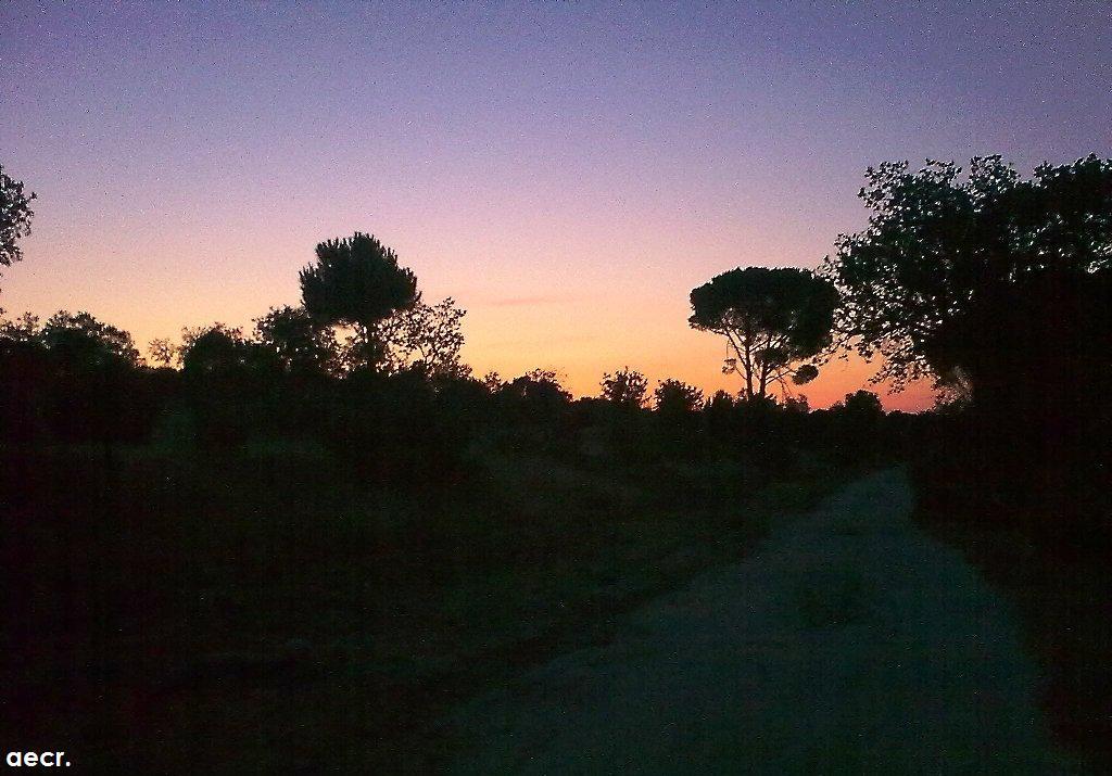 Foto de Boadilla del Monte (Madrid), España