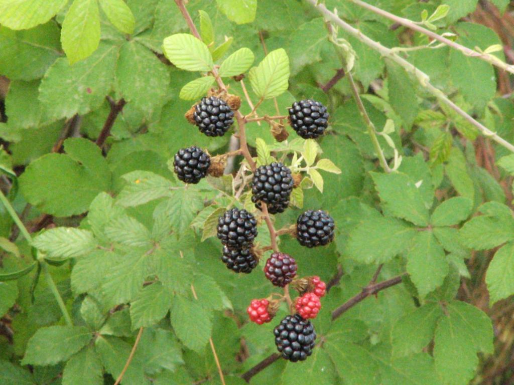 Foto de Ontinyent (València), España
