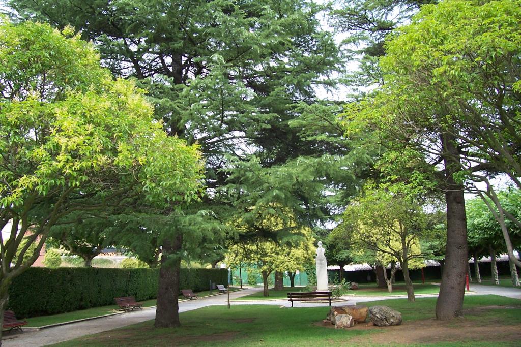 Foto de Bembibre (León), España