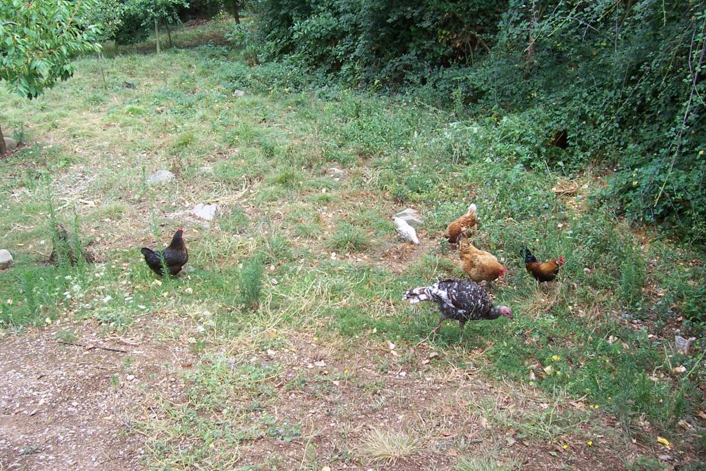 Foto de San Román de Bembibre (León), España